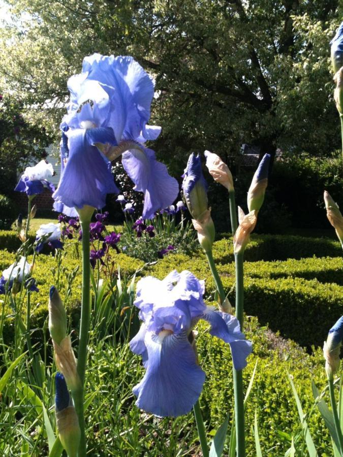 B&B Cote Jardin Villers-Outreaux エクステリア 写真